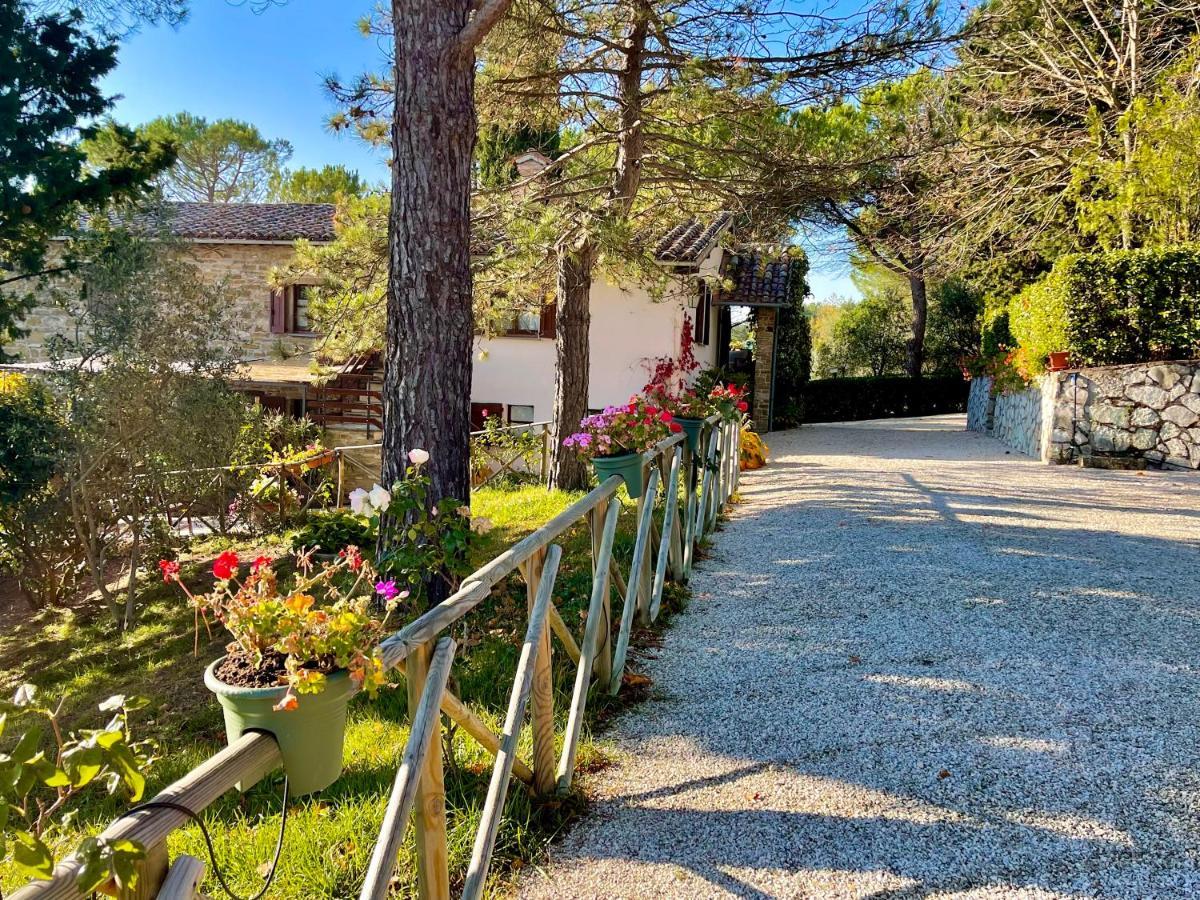 La Panoramica Gubbio - Maison De Charme - Casette E Appartamenti Self Catering Per Vacanze Meravigliose! Bagian luar foto
