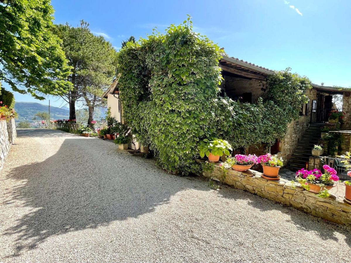 La Panoramica Gubbio - Maison De Charme - Casette E Appartamenti Self Catering Per Vacanze Meravigliose! Bagian luar foto