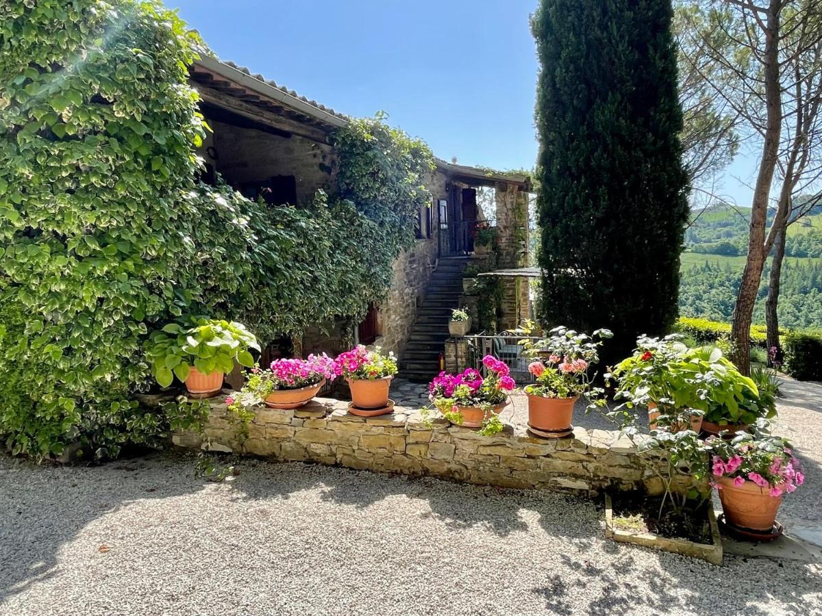 La Panoramica Gubbio - Maison De Charme - Casette E Appartamenti Self Catering Per Vacanze Meravigliose! Bagian luar foto