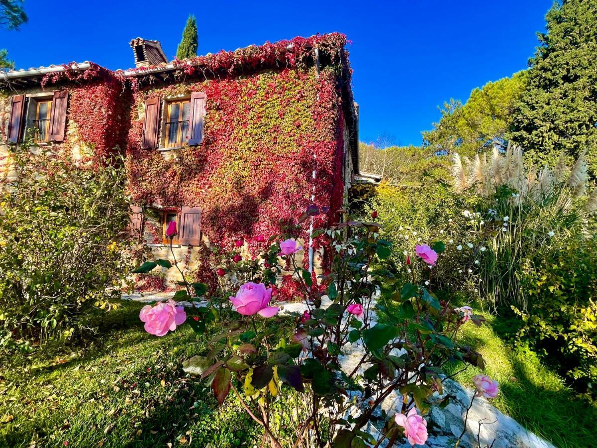 La Panoramica Gubbio - Maison De Charme - Casette E Appartamenti Self Catering Per Vacanze Meravigliose! Bagian luar foto